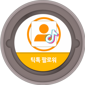 틱톡 팔로워 늘리기